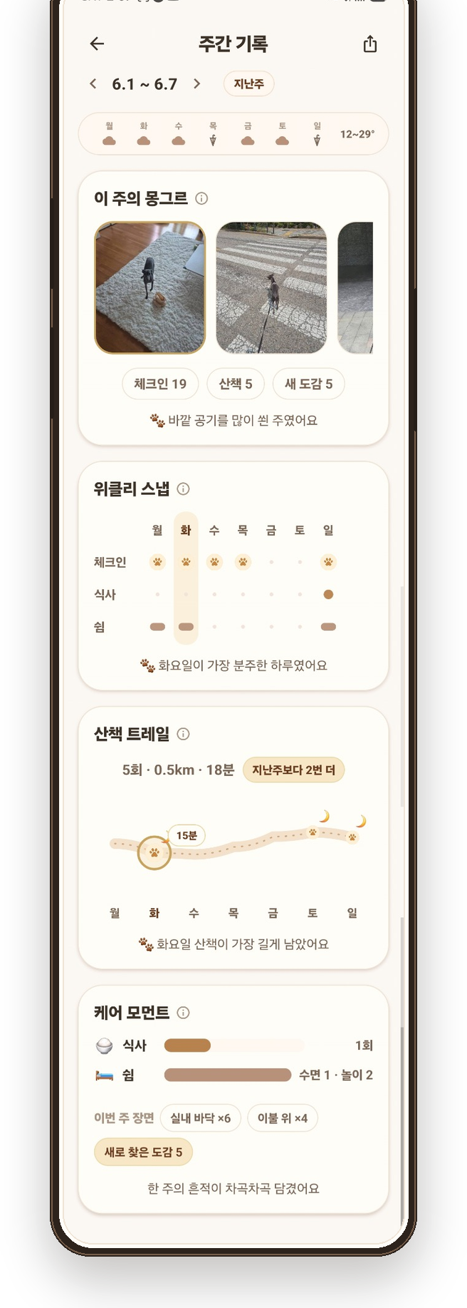 주간 기록